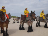 HORSEBACK SHRIMP FISHING IN BELGIUM